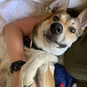 Meet your Posher, Marisa